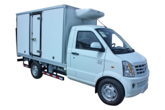 minitruck1